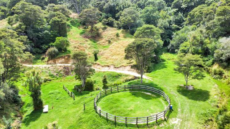 791B White Pine Bush Road Awakeri_45