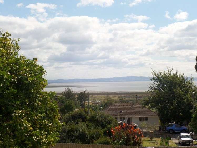 307 Mount Sea Road Thames_6