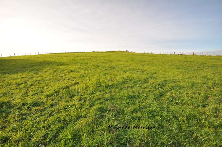 100 Te Wairoa Lane Matakohe_29