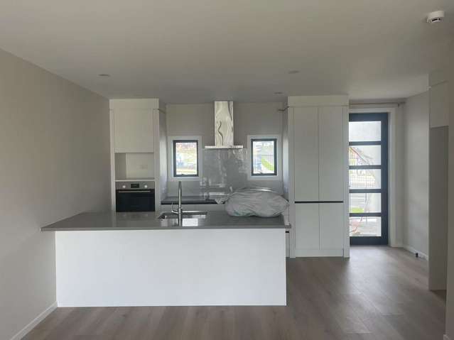 3 Lemon Tree Lane Flat Bush_3