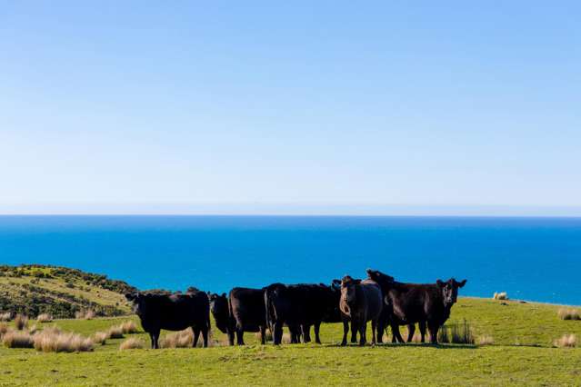 7611 State Highway 1 Ward_1