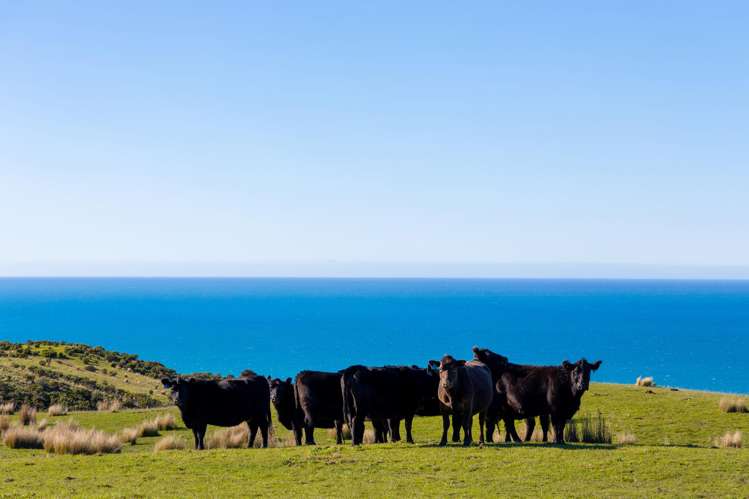 7611 State Highway 1 Ward_7