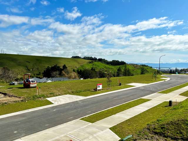 5 Wansford Place (Lot 47 Stag Ridge) Stoke_3