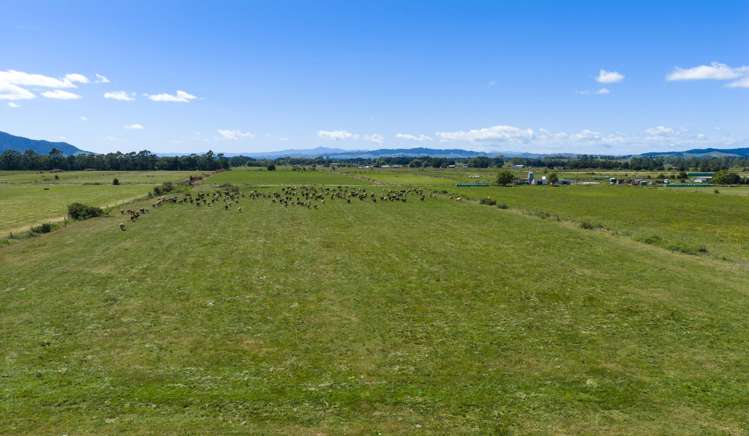 331 Kneebone Road Orini_30