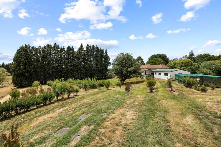 110 Old Te Kuiti Road Otorohanga_7