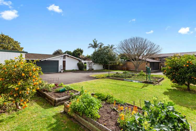 5a Pouwhare Street Whakatane_2
