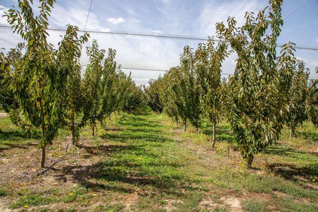 244A Ripponvale Road Cromwell_1
