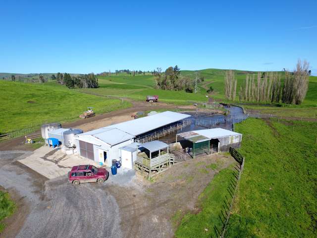 684 Maihiihi Road Otorohanga_4