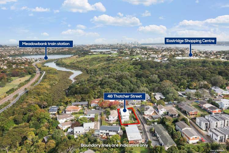 48 Thatcher Street Mission Bay_20