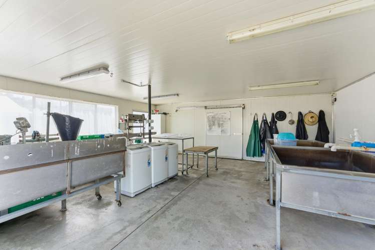 16 Lupton Street Waverley_12