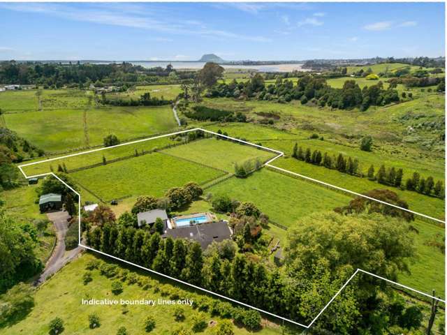 56e Te Puna Road Te Puna_3