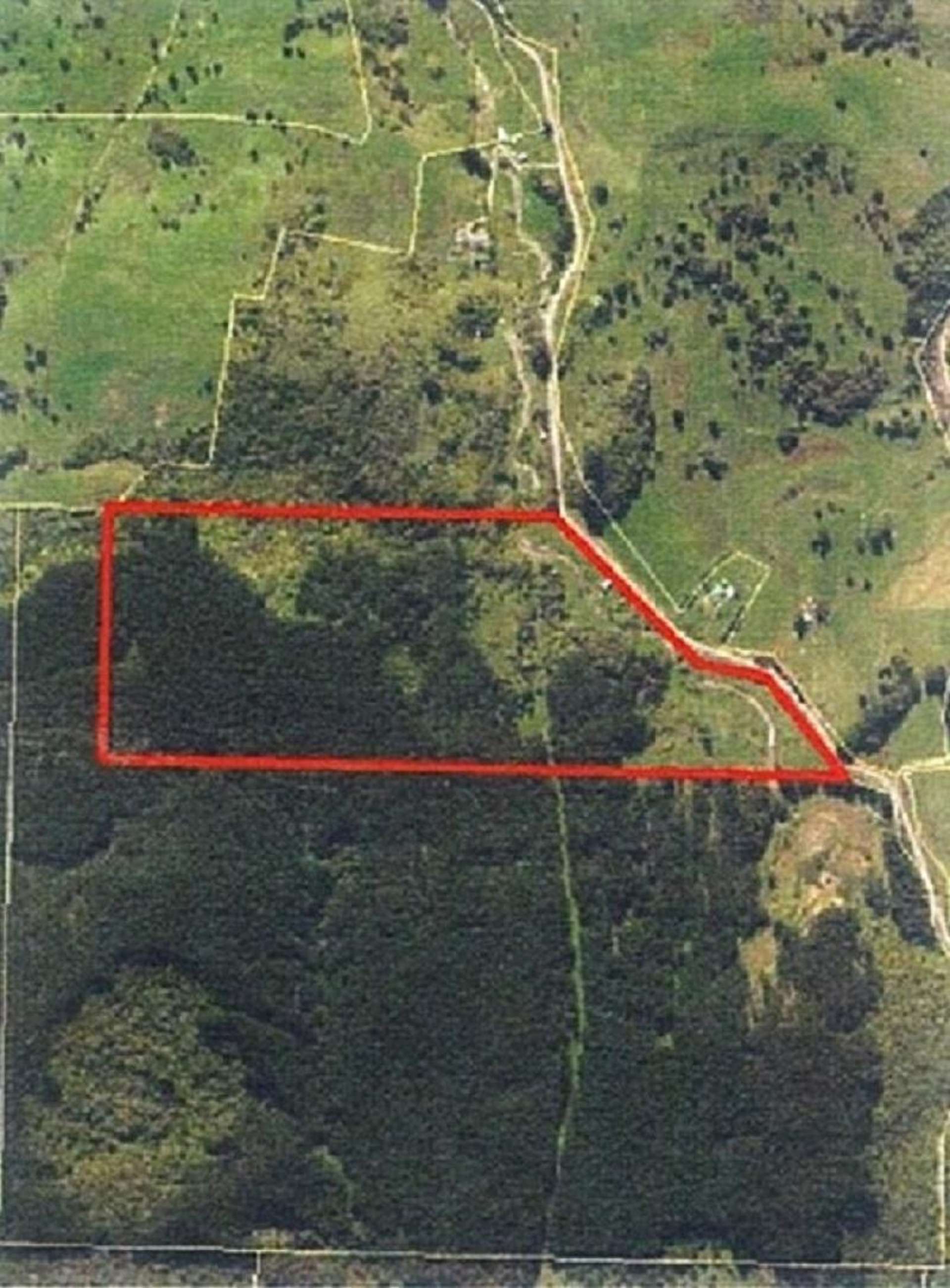 453 Wekaweka Road Waimamaku_0