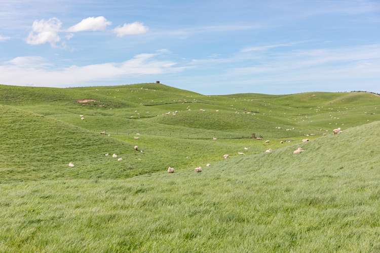 300 Pattison Road Waipukurau_13