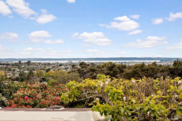 209 Golf Road Titirangi_3