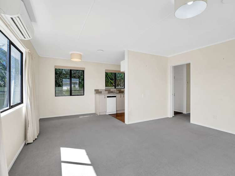 15b Douglas Street Levin_9