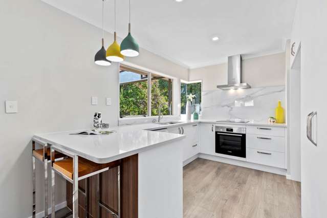 542 Mount Albert Road Three Kings_4