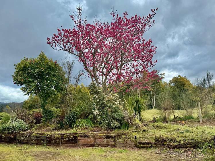 86 Lairdvale Road Taumarunui_11