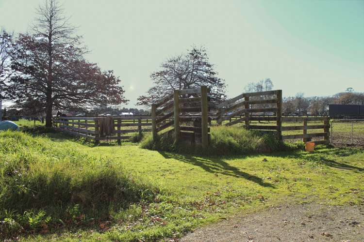 113 Morrinsville-Walton Road Morrinsville_9