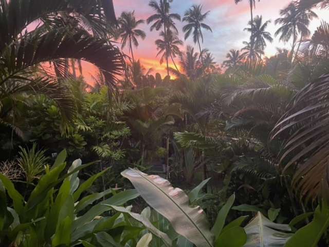 Address withheld Savusavu_1