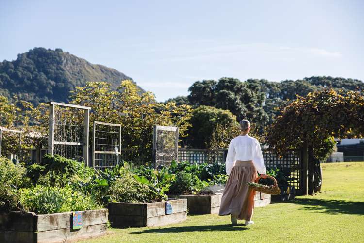 3/17 Victoria Road Mount Maunganui_5