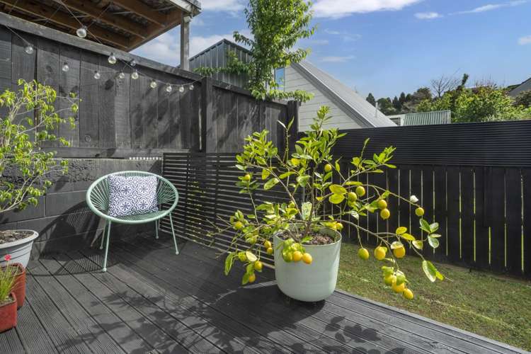 125C Mansels Road Parkvale_10