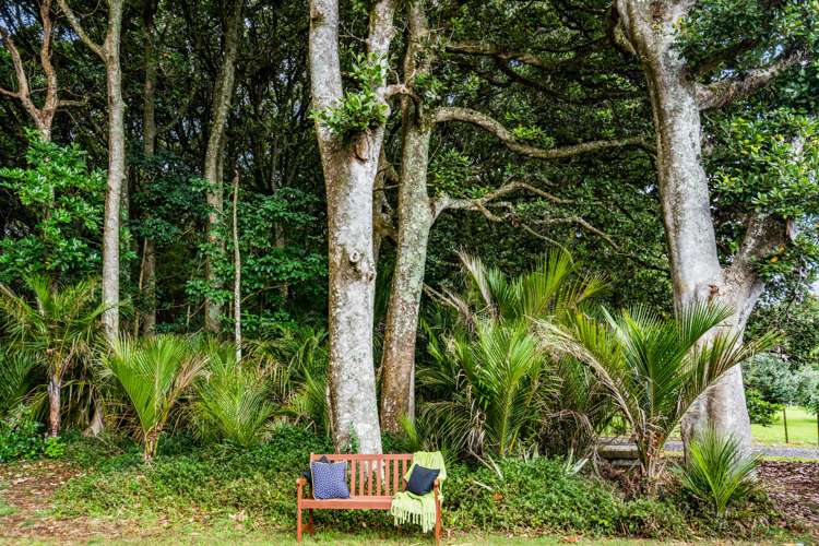 417 Three Mile Bush Road Kamo_31