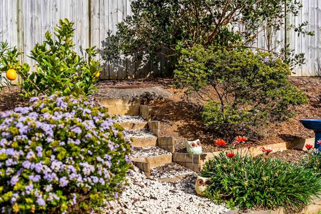 29 Lippiatt Crescent Pokeno_4