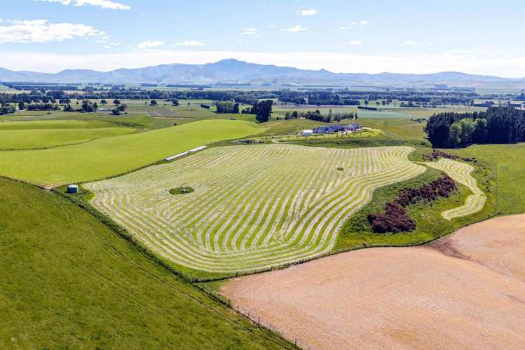 122 Oldfields Road Fairlie_10