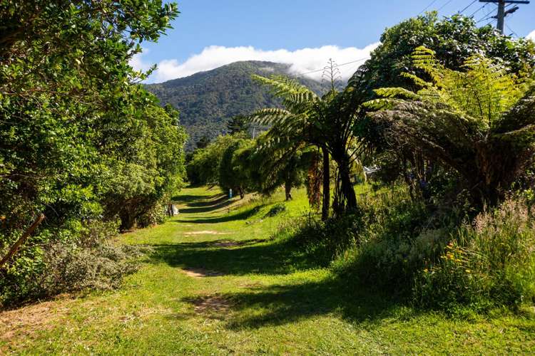 4 The Pines Marlborough Sounds_22