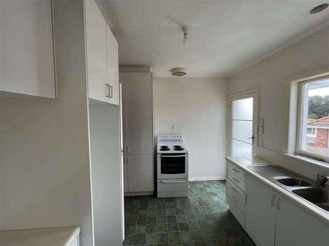 55 Miro Street New Lynn_4