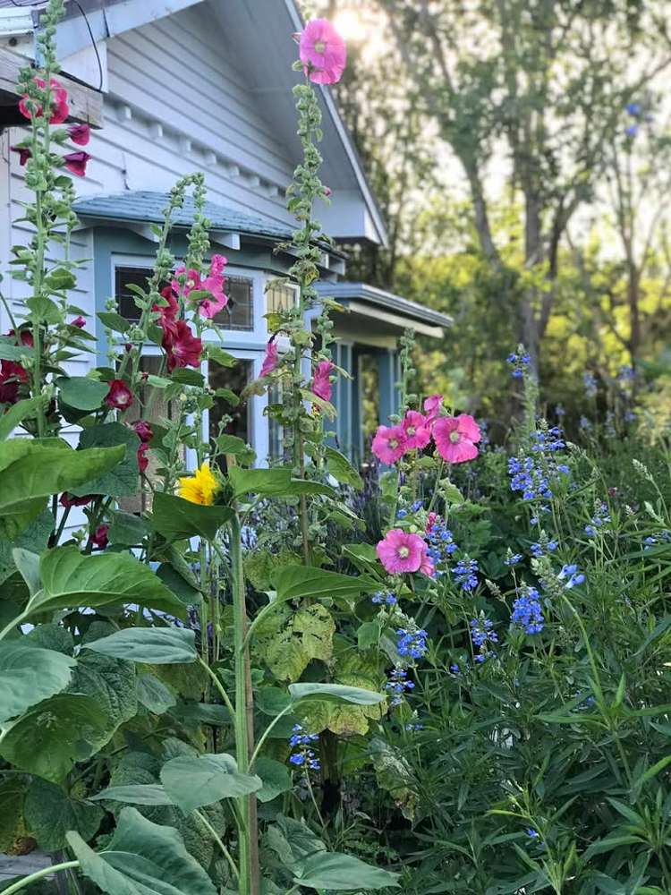 2239B State Highway 12 Paparoa_24