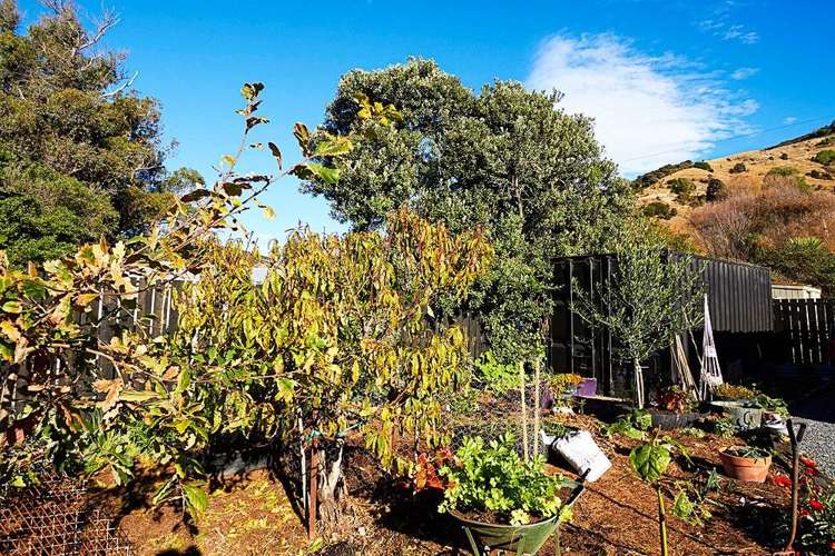 31 Waitane Road Oaro_30