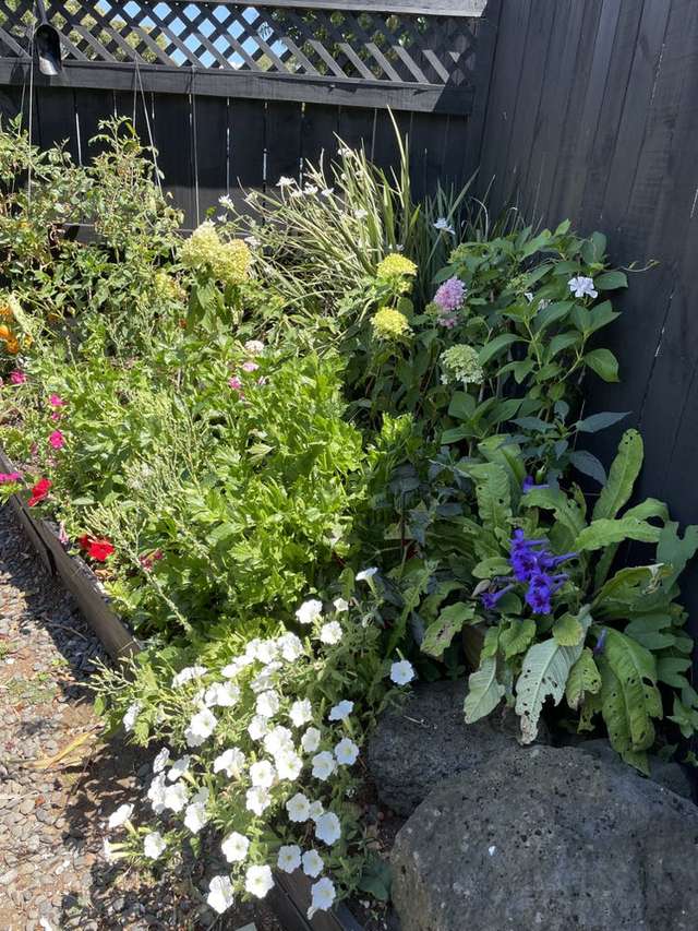 1/636 Mount Wellington Highway Mount Wellington_2