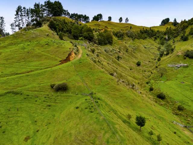 544 Mohakatino Road Mokau_2