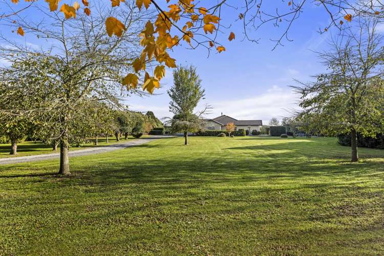 46 Glen Ida Way_5