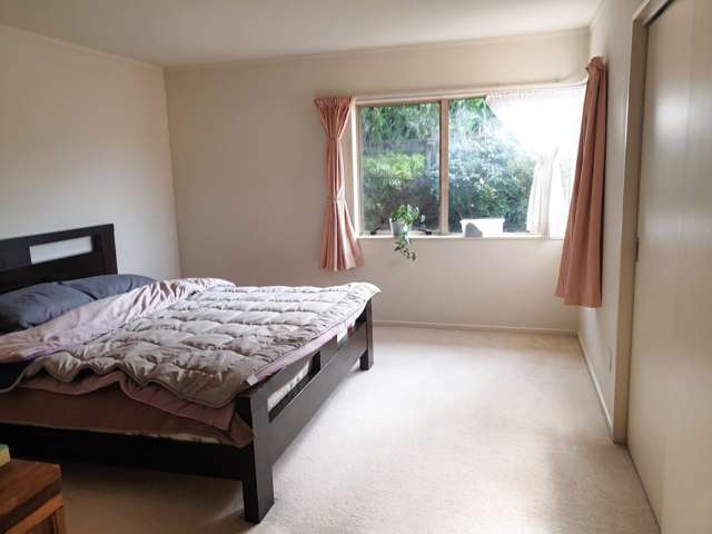 18 Villa Grove Paraparaumu_3