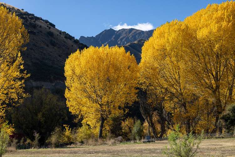 84 Nook Road Lake Hawea_32