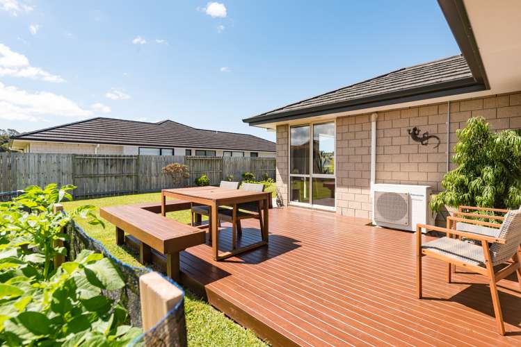 4 Captains Loop Haruru_22