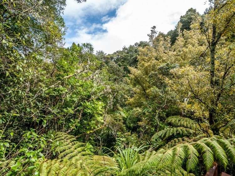 3/14 Kauri Road Birkenhead_7