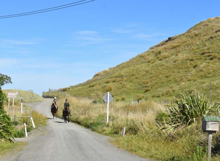 87a Whangaimoana Beach Road Pirinoa_17