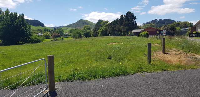 . Buller Street Waihi_2