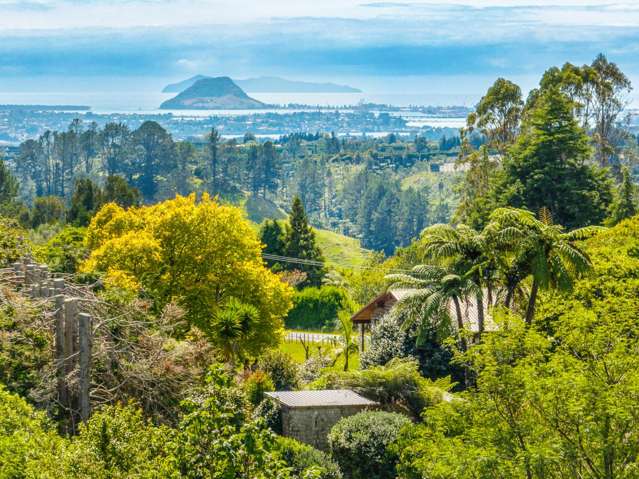 64 Oropi Gorge Road Pyes Pa_2