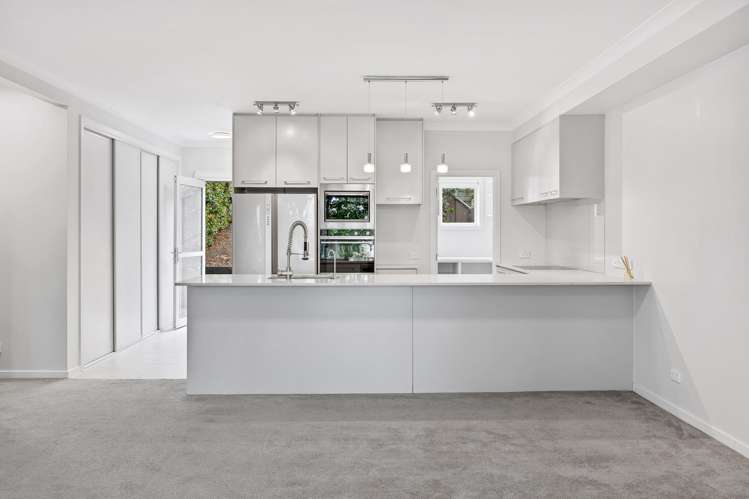 29 Landmark Terrace_4