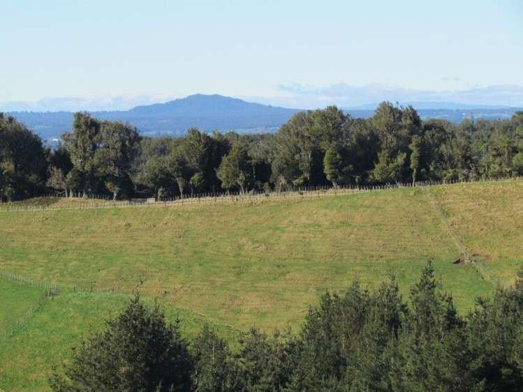 937 Whakamarama Road Whakamarama_8