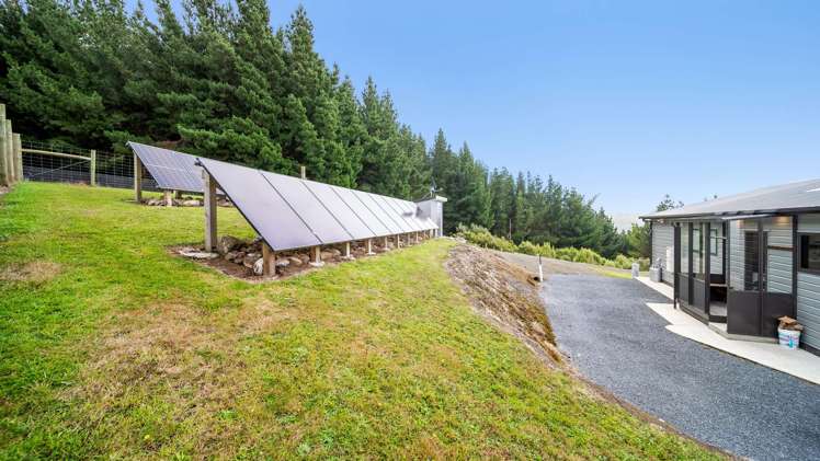 Tahakopa Valley Road Catlins Surrounds_30