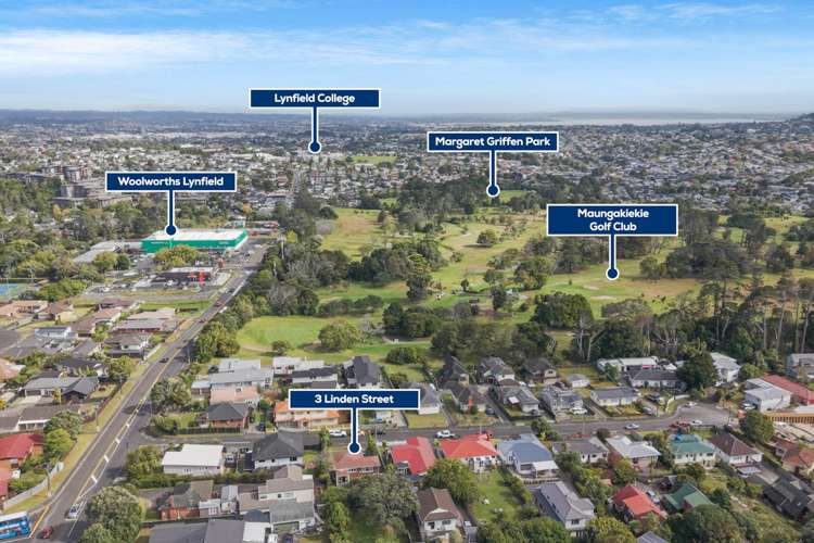 3 Linden Street Mt Roskill_5