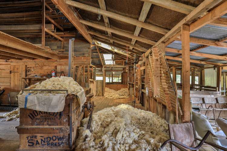 254 Kohatu-Kawatiri Highway Kahurangi National Park_17