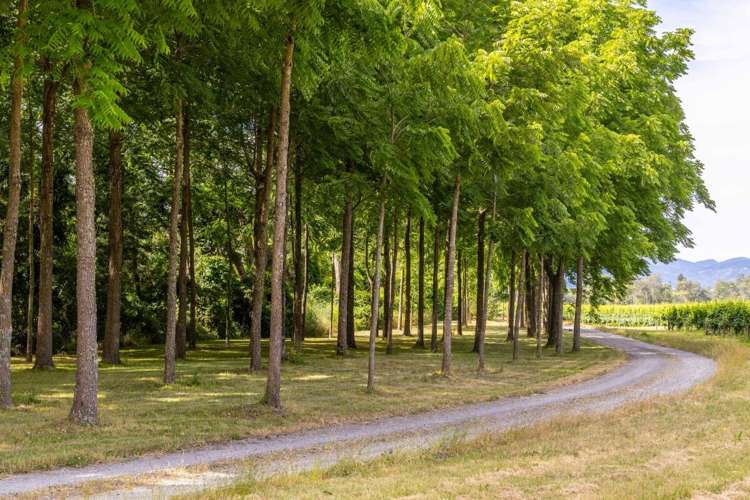 304 Dog Point Road Hawkesbury_24