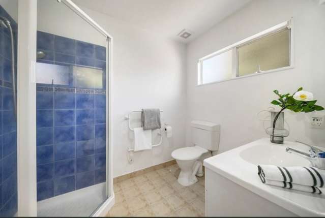 152A Hutchinson Avenue New Lynn_1