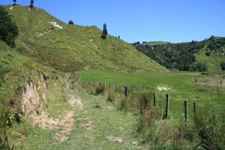 1099 Mataro Road Urenui_15